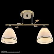 15113-0.3-02 светильник потолочный