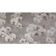 Е106705 Обои Elysium Элис