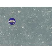 Е802304 Обои Elysium Серия Е8023** Алиот (6)