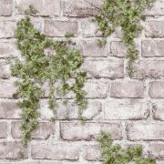 Арагон 02 (беж) обои влагостойкие  0,53*10 С3 гр.2 (Саратов) 15